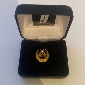 Tri Delta stars and Crescent Badge